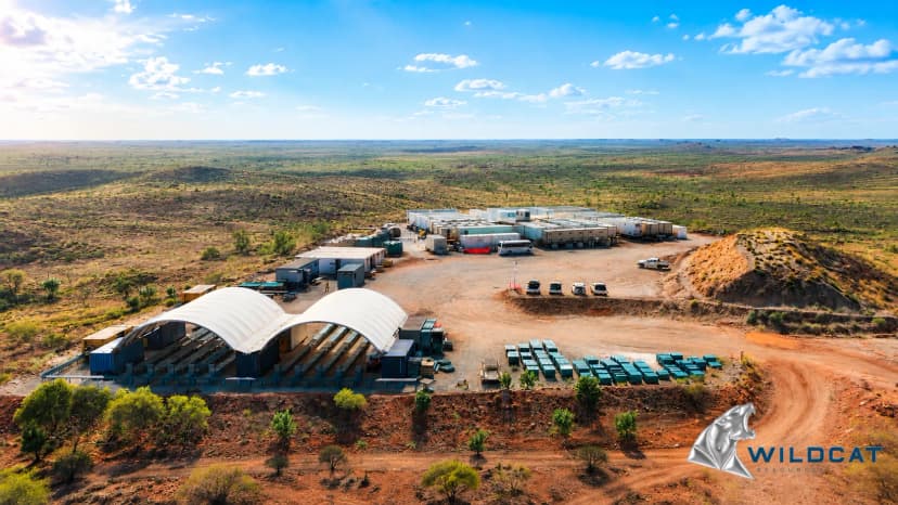 Wildcat Resources (ASX: WC8)