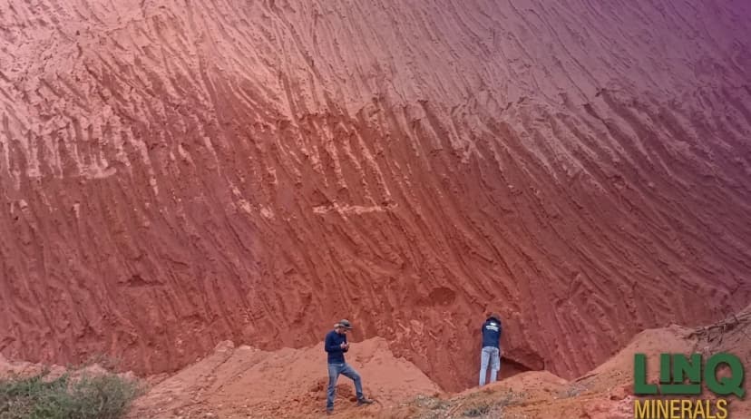 LinQ Minerals (ASX: LNQ)