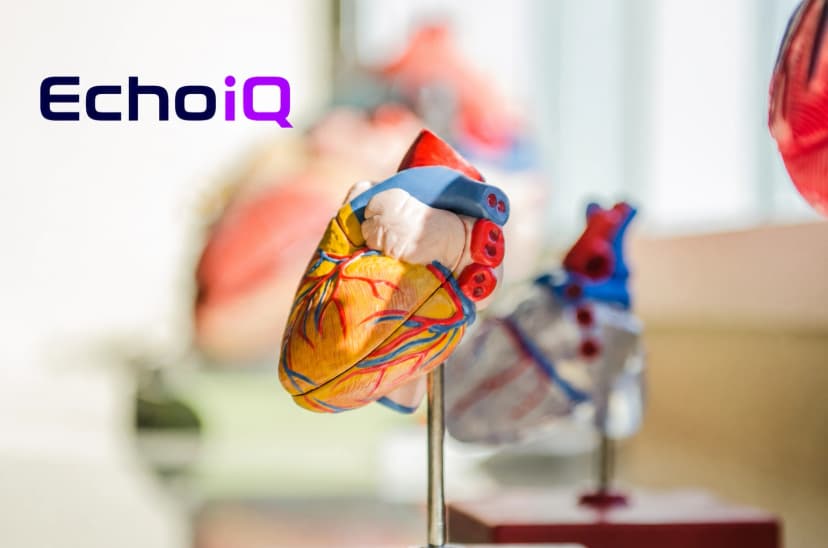 EchoIQ (ASX: EIQ)