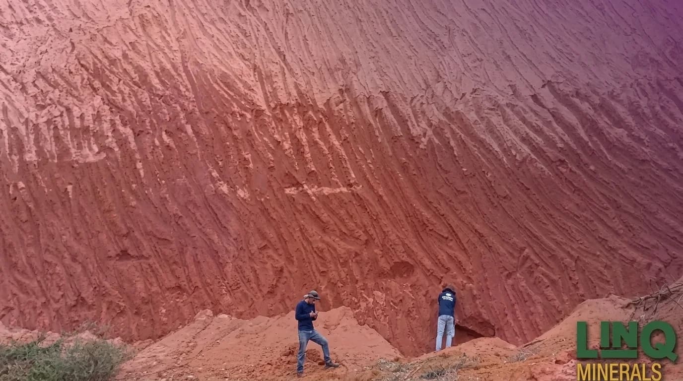 LinQ Minerals (ASX: LNQ)